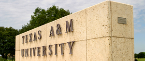 tamu